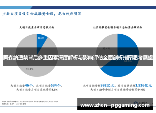 阿森纳遭禁背后多重因素深度解析与影响评估全面剖析指南思考展望 阿森纳遭禁背后多重因素深度解析与影响评估全面剖析指南思考展望