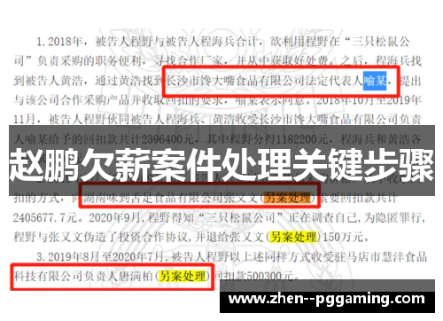 赵鹏欠薪案件处理关键步骤 赵鹏欠薪案件处理关键步骤