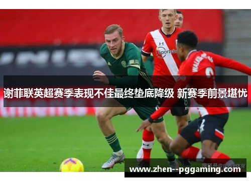 谢菲联英超赛季表现不佳最终垫底降级 新赛季前景堪忧 谢菲联英超赛季表现不佳最终垫底降级 新赛季前景堪忧