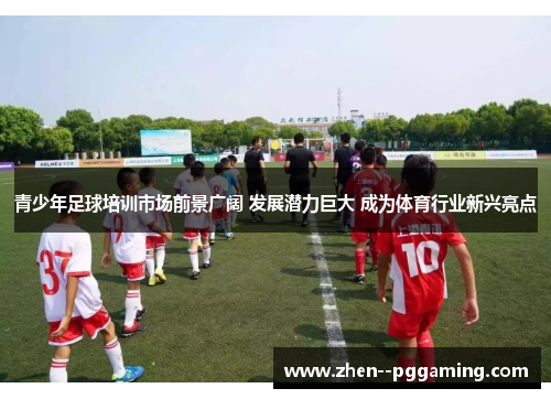 青少年足球培训市场前景广阔 发展潜力巨大 成为体育行业新兴亮点