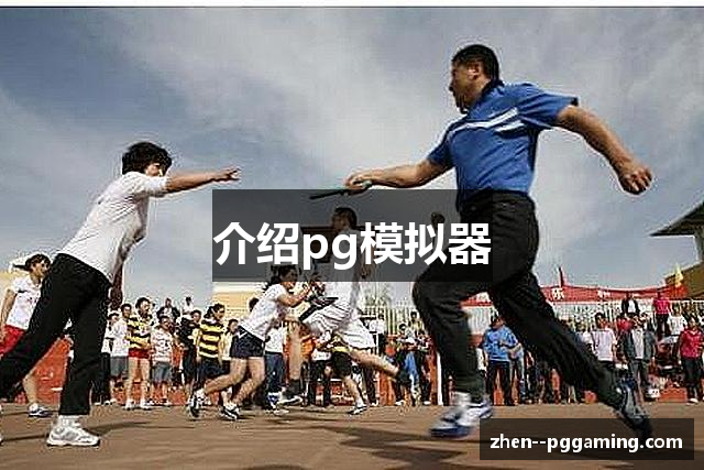 介绍pg模拟器